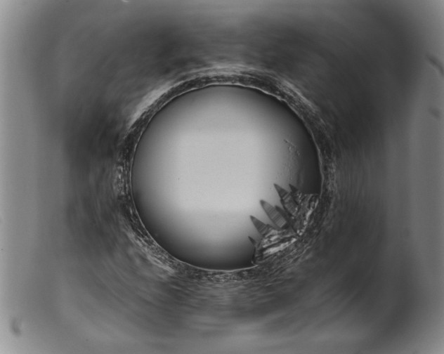 X0000099431208200805231645