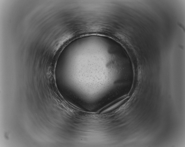 X0000099431210200805231645