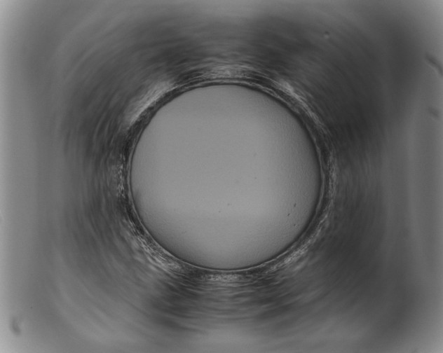 X0000099431211200805231645