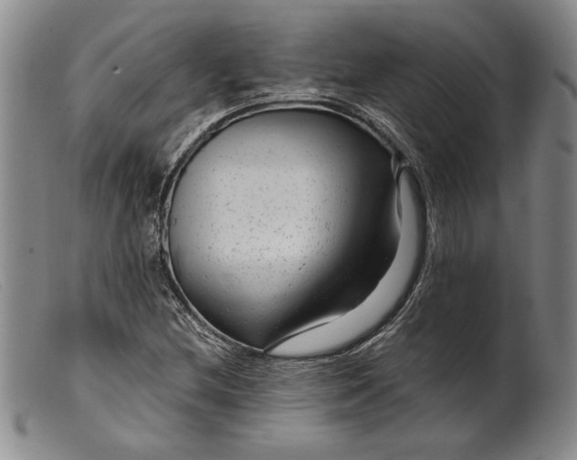 X0000099431212200805231645