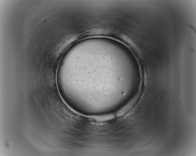 X0000099431213200805231645