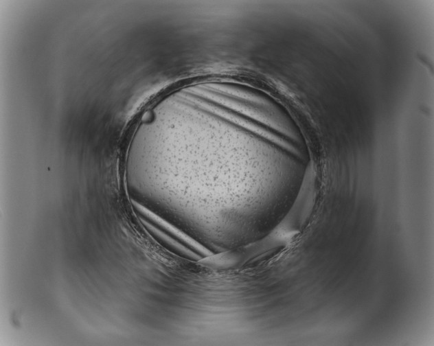 X0000099431214200805231645