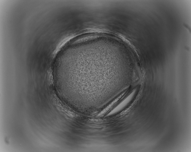 X0000099431215200805231645