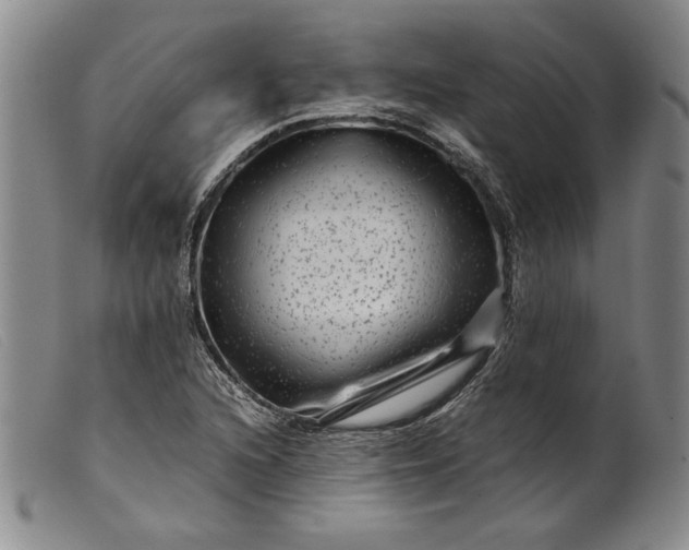 X0000099431216200805231645