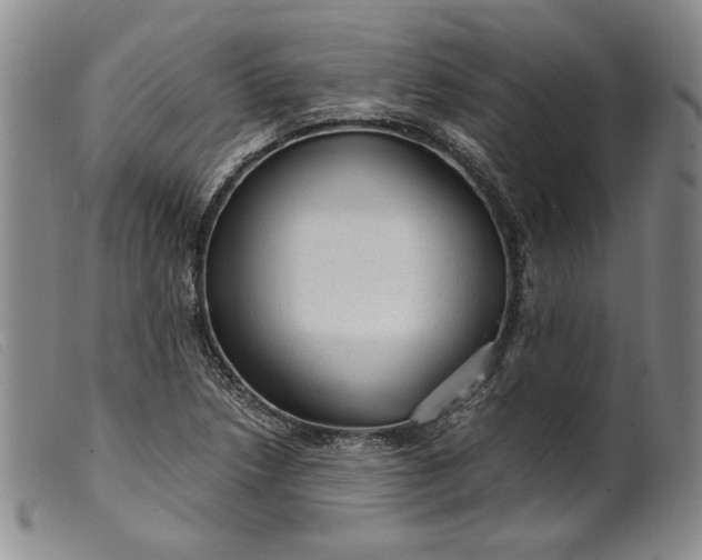 X0000099431218200805231645