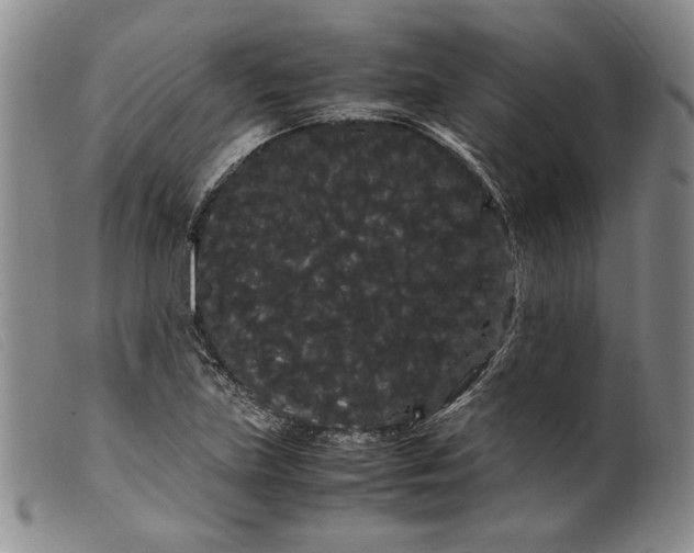 X0000099431219200805231645
