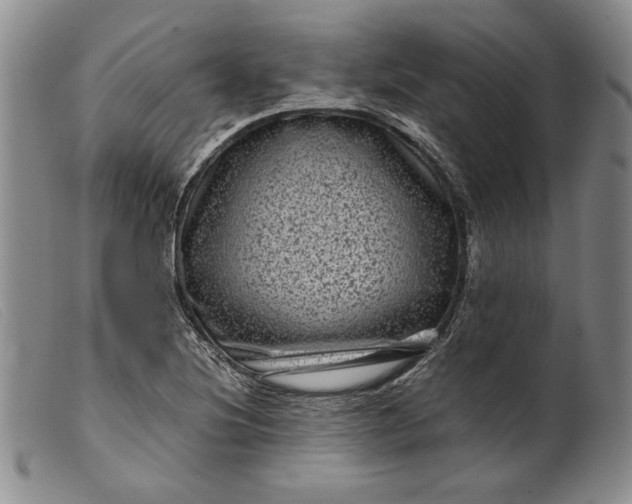 X0000099431220200805231645