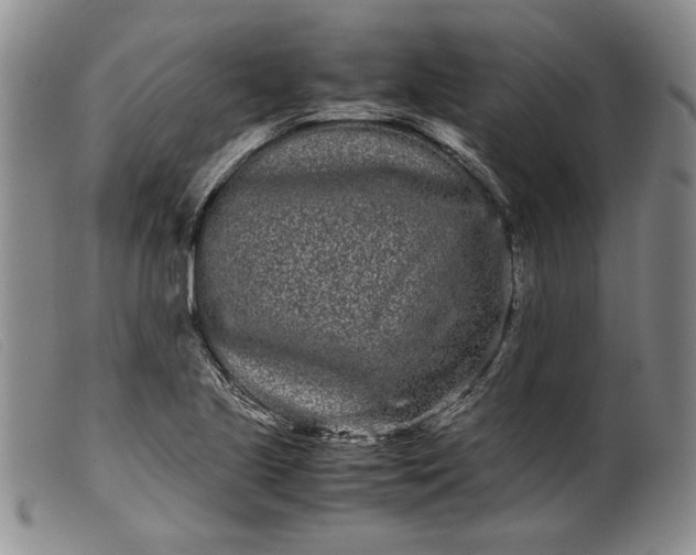 X0000099431221200805231645