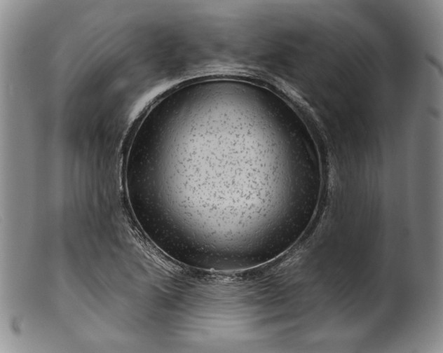 X0000099431222200805231645