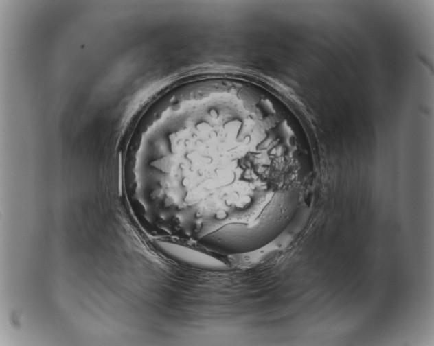 X0000099431223200805231645