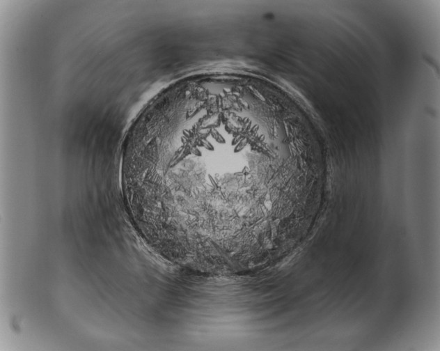 X0000099431224200805231645