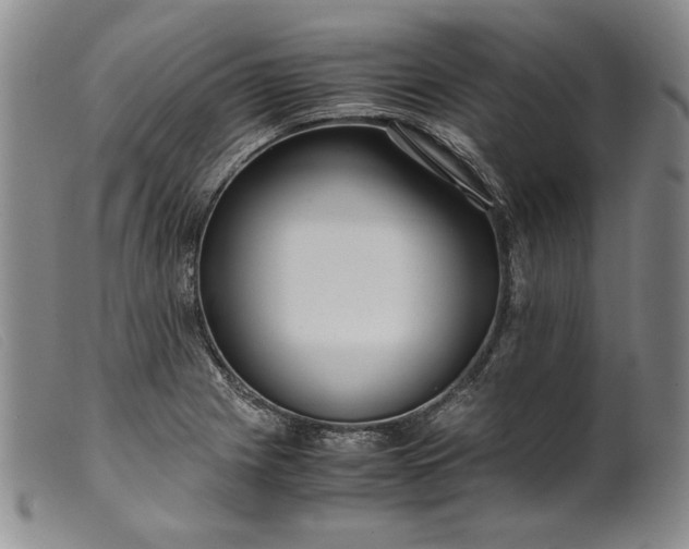 X0000099431225200805231645