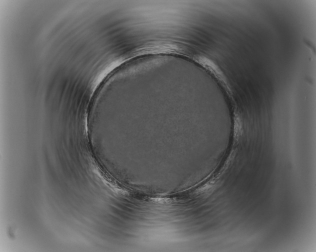 X0000099431226200805231645