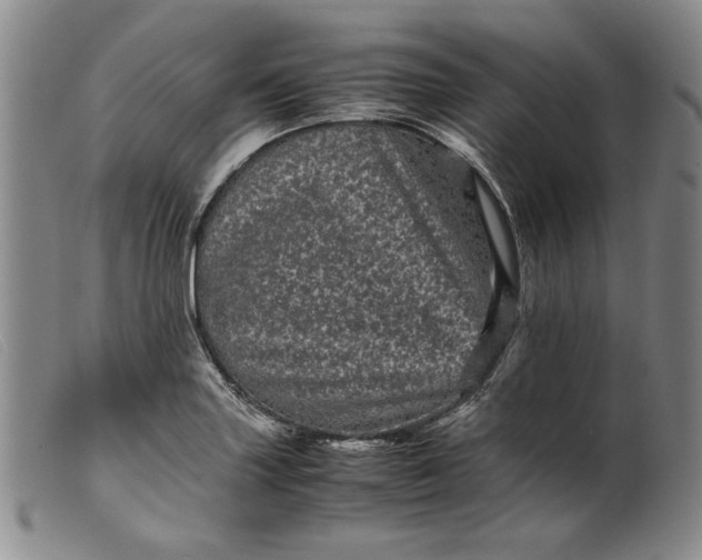 X0000099431227200805231645