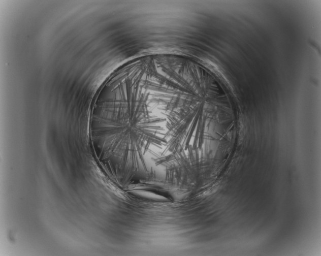 X0000099431228200805231645