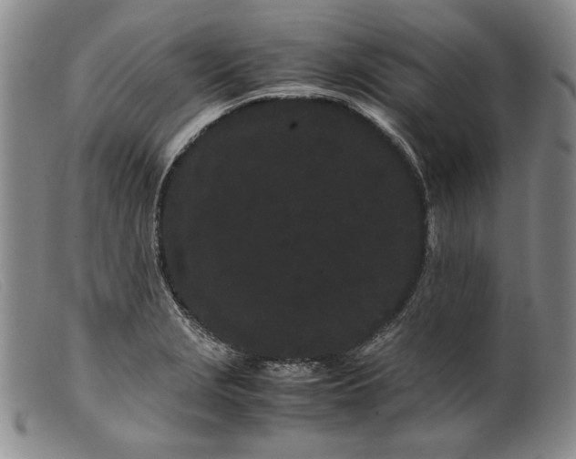 X0000099431229200805231645