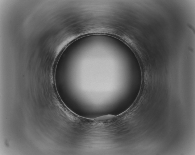 X0000099431230200805231645