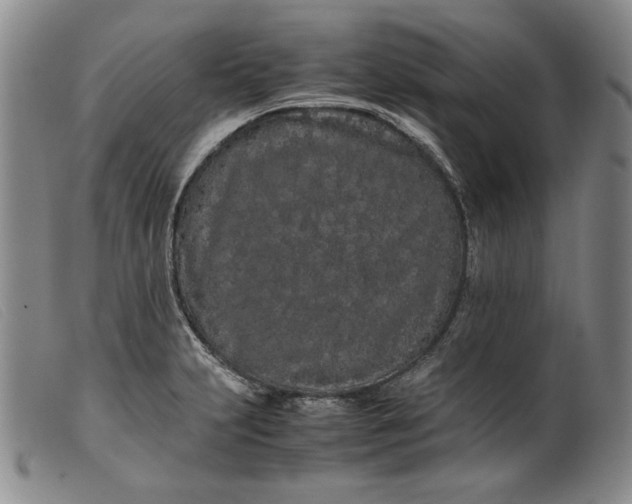 X0000099431231200805231645