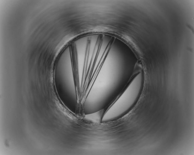 X0000099431232200805231645