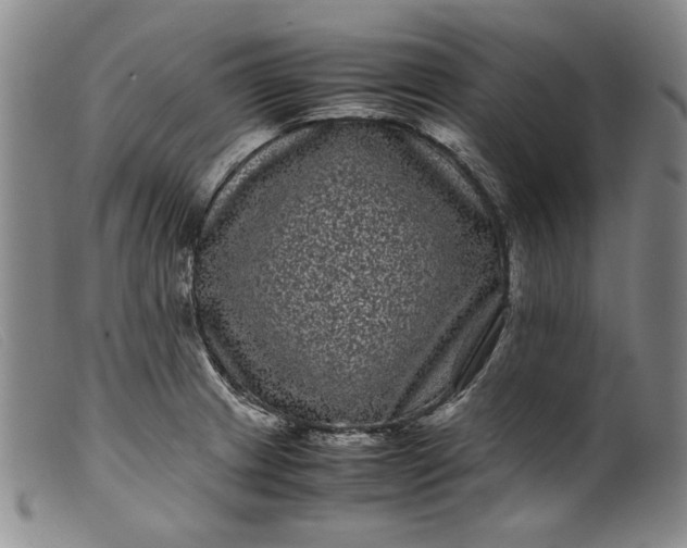 X0000099431233200805231645