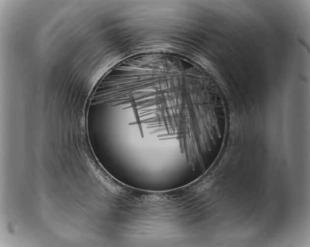 X0000099431234200805231645