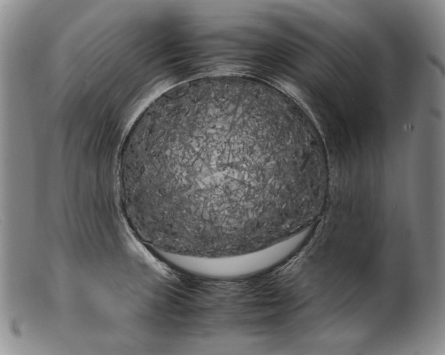 X0000099431235200805231645