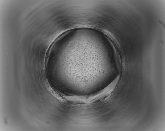 X0000099431236200805231646