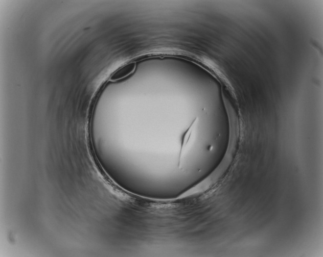 X0000099431237200805231646