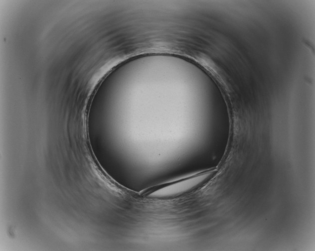 X0000099431238200805231646