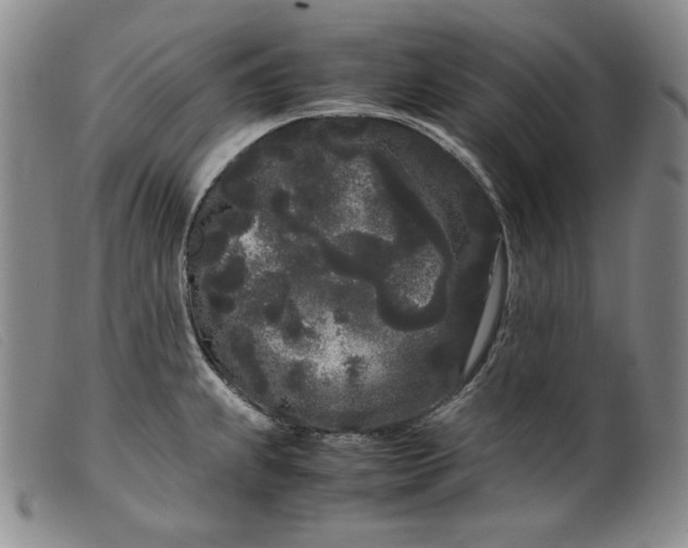 X0000099431239200805231646
