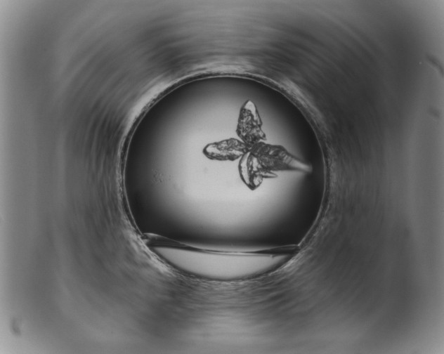 X0000099431240200805231646