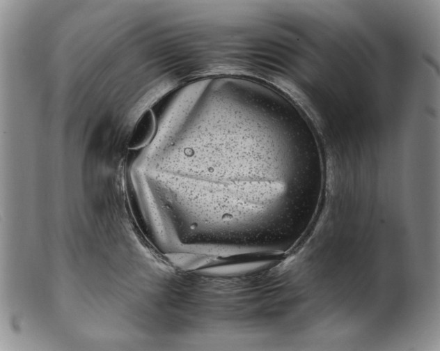 X0000099431241200805231646