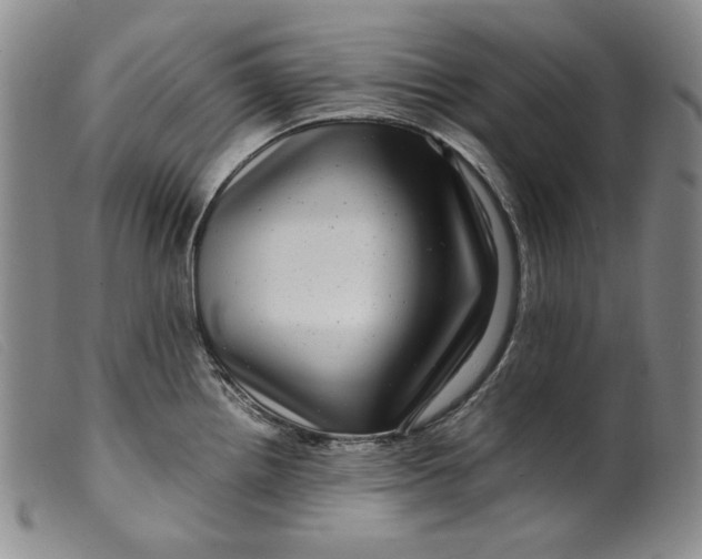 X0000099431242200805231646