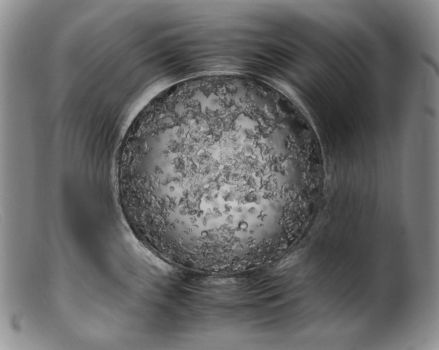 X0000099431243200805231646