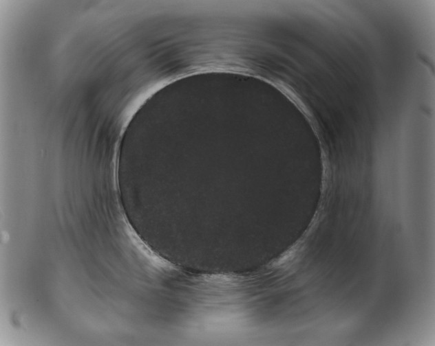 X0000099431246200805231646