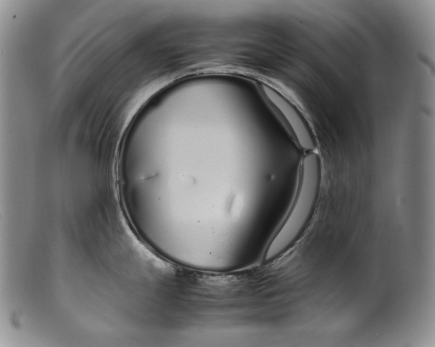 X0000099431247200805231646
