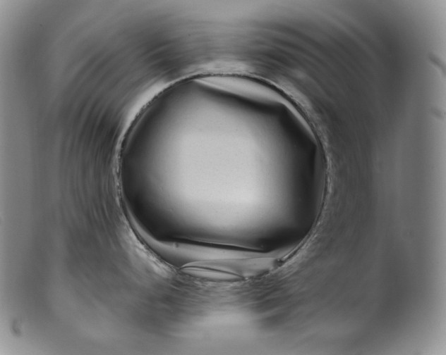 X0000099431248200805231646