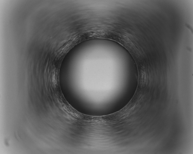 X0000099431250200805231645