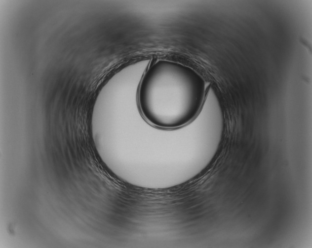 X0000099431252200805231645