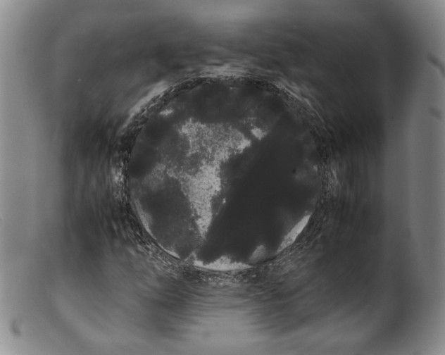 X0000099431254200805231645