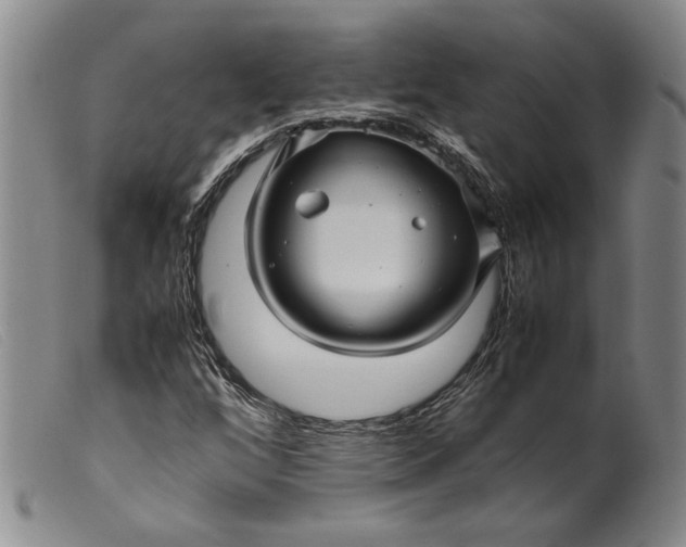 X0000099431256200805231645