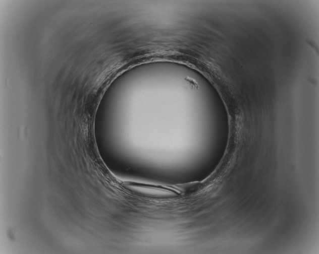 X0000099431257200805231645