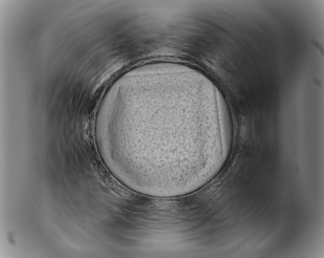 X0000099431258200805231645