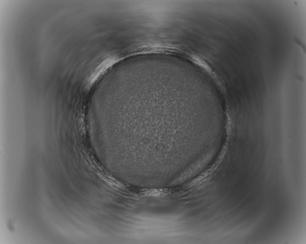 X0000099431259200805231645
