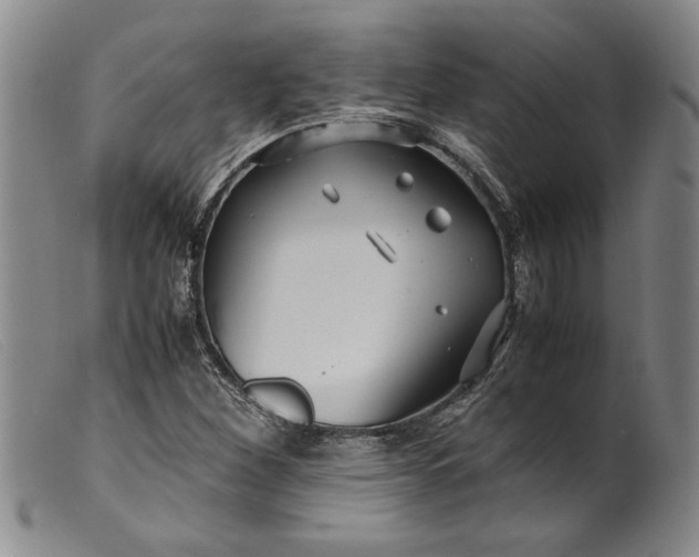 X0000099431260200805231645