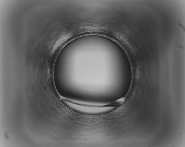 X0000099431261200805231645
