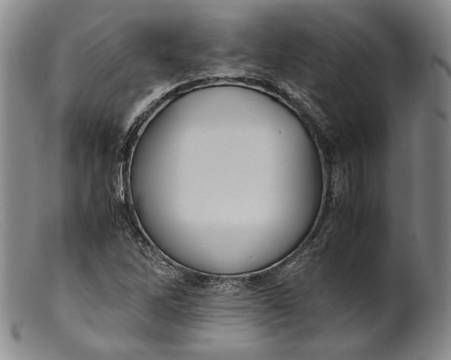 X0000099431262200805231645