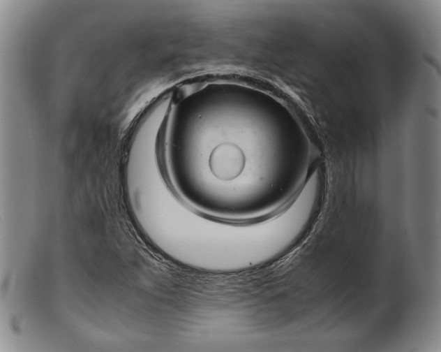 X0000099431263200805231645