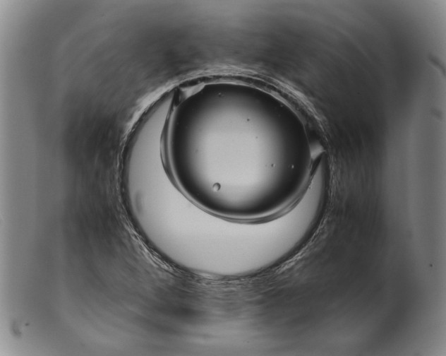 X0000099431264200805231645