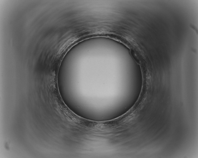 X0000099431265200805231645